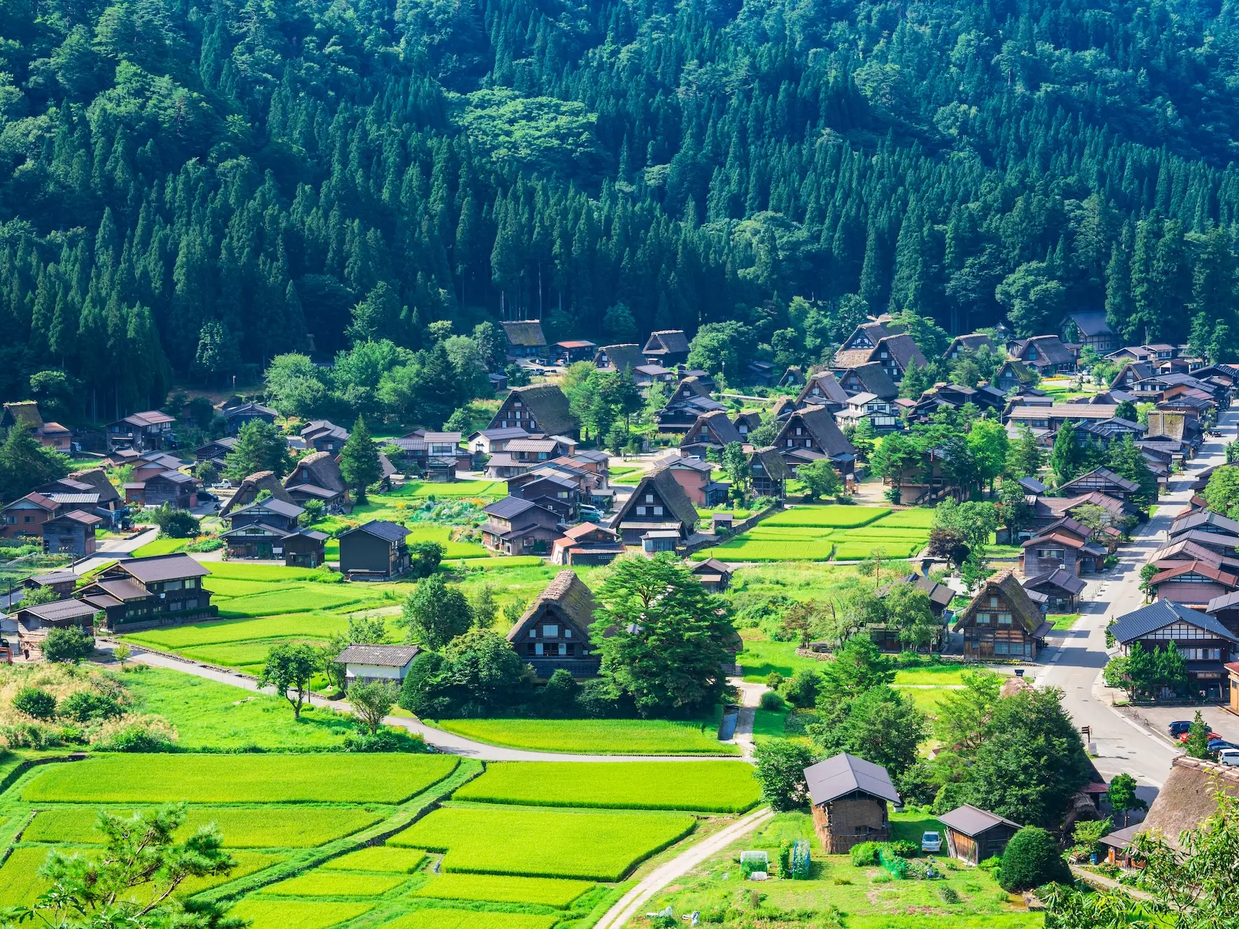 Landscape, culture and the art of seeing